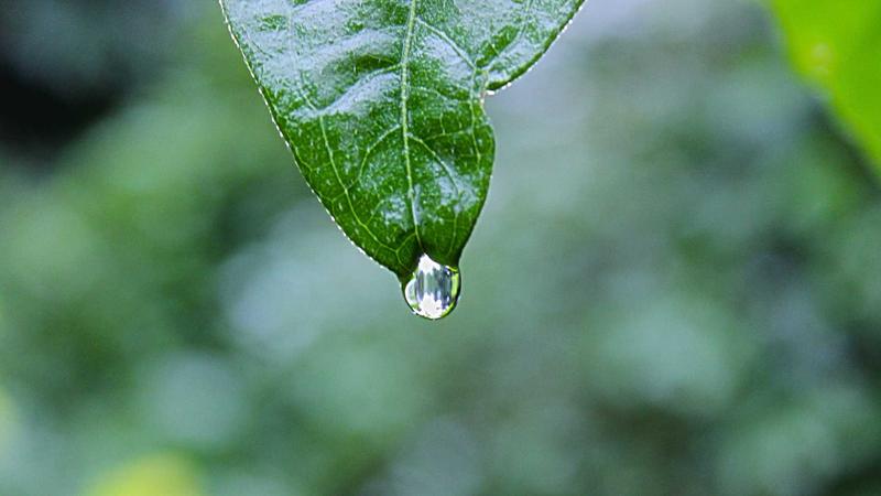 cilimao案例一：影视资源搜索帮助用户快速找到高清电影